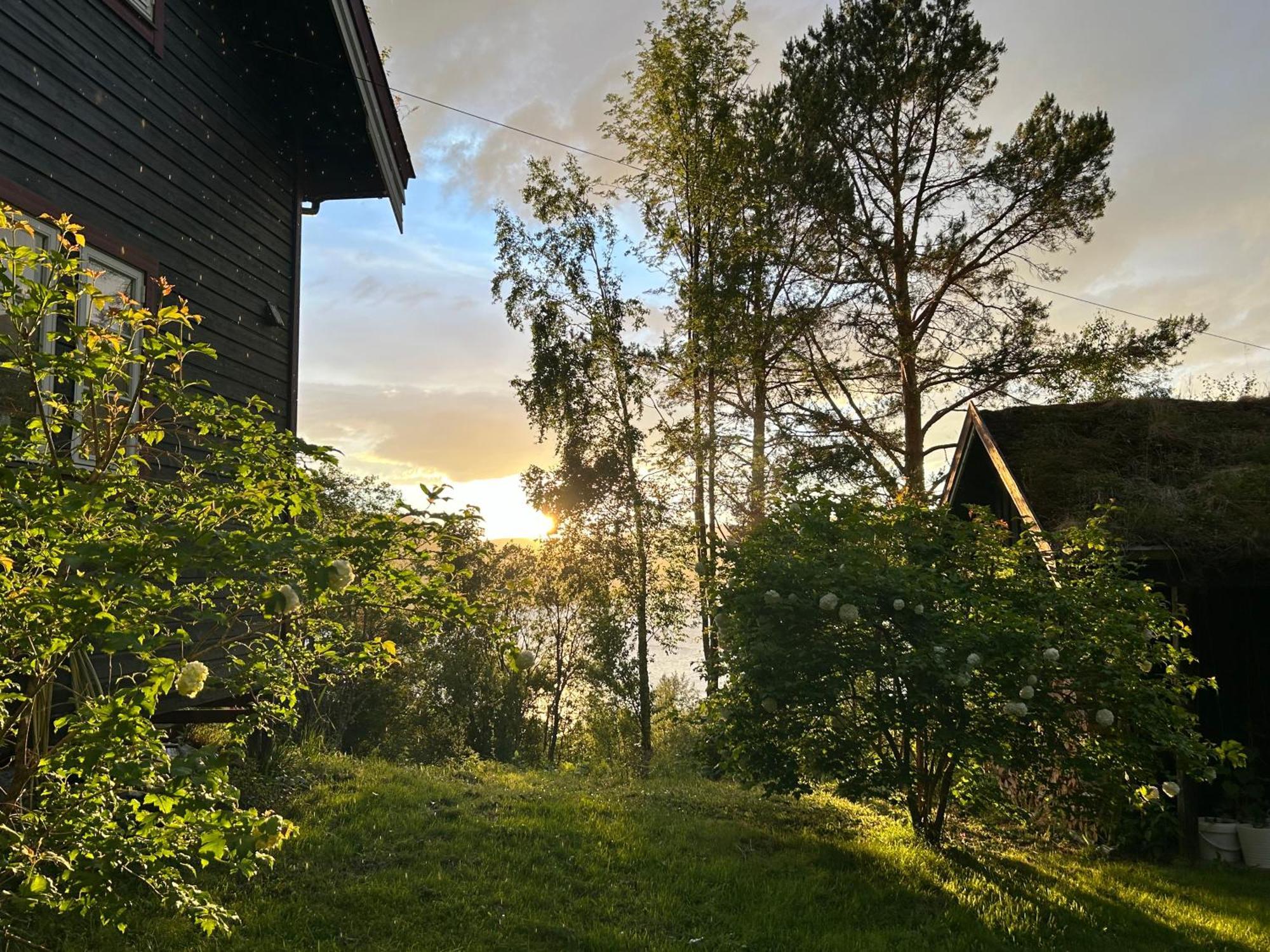 Stille Og Fredelig Ved Fjord Og Fjell Valsoybotn Ngoại thất bức ảnh